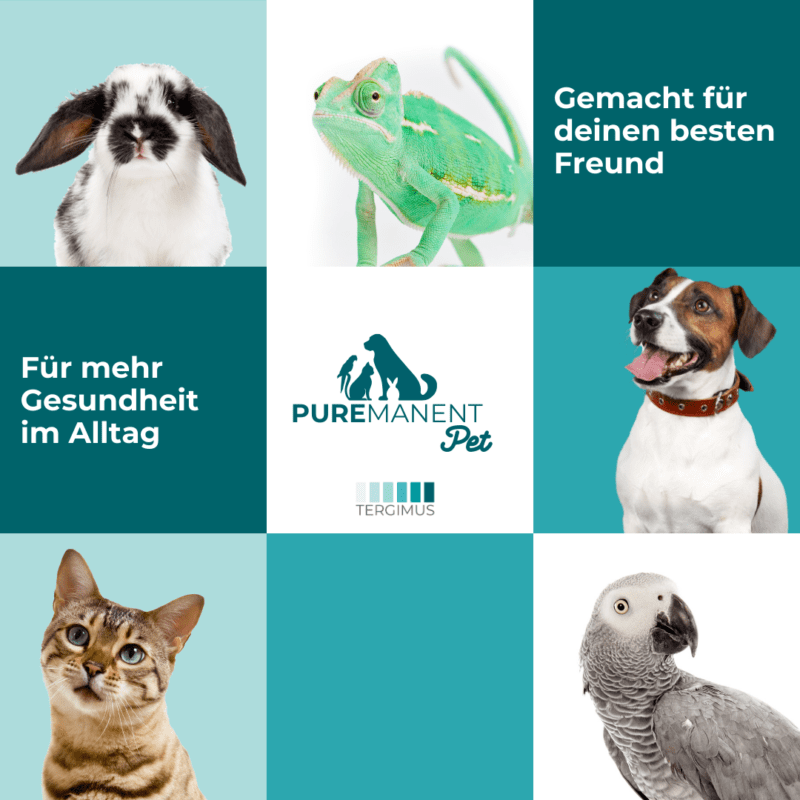 PUREMANENT Pet für Hunde, Katzen, Kaninchen, Vögel und Reptilien
