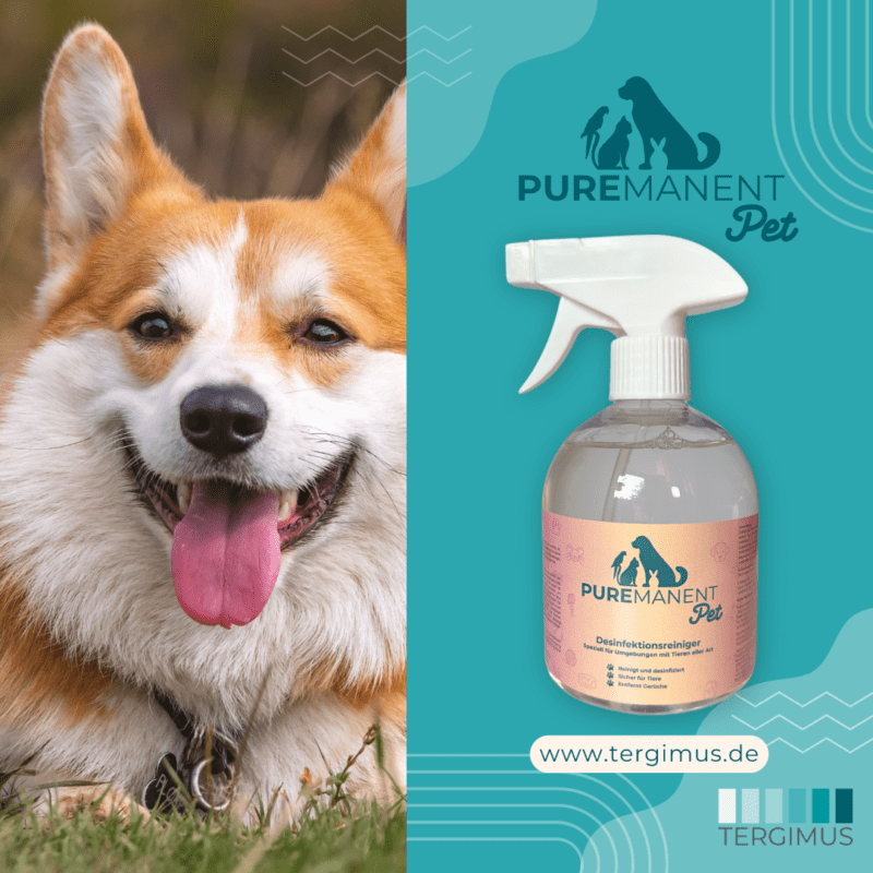 PUREMANENT Pet Desinfektionsreiniger neben einem Corgi im Gras