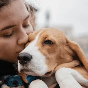 Blog PUREMANENT Pet