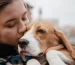Blog PUREMANENT Pet