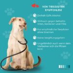 Von Tierärzten empfolen PUREPAW Paw Wipes